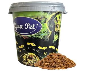 Lyra Pet® 5 kg de Larves de Mouches des Soldats séchées dans Un fût de 30 L | Comme les vers de farine - Riches en calcium & protéines - Aliment énergétique pour oiseaux, poissons, rongeurs & reptiles