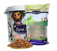 5 kg de larves de mouches soldats Lyra Pet® dans un tonneau de 30 L