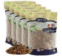 Lyra Pet® 5 kg mélange d’Insectes Protein Boost séchés -avec vers de Farine | Riche en protéines & fibres - Sauterelles, vers de farine & crevettes - Aliment naturel pour oiseaux, poissons & reptiles