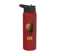 Lys Stainless Steel Insulated Water Bottle