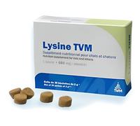 Lysine TVM