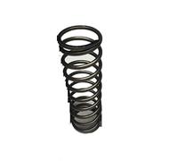 Lyuduo-Ressorts de compression Springs de compression robuste de gros métalliques, diamètre de fil de 5 mm x (40-45) mm de diamètre de sortie x (60-300) Longueur mm, Robuste et polyvalent(5x45x100mm)