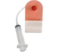 LYUXLCB Modèle d'osteomie fécale de Table, Kit d'entraîneur de Soins d'osteomie Modèle d'osteomie fécale de Simulation de Table pour la Formation médicale et l'éducation du Patient