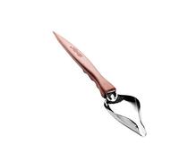 LYVQZPWLRLa Cuisine, Pince à épiler de Cuisine Pince de précision Outil pendulaire en Acier Inoxydable en Six pièces