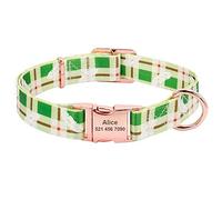 LYVQZPWLRLe Chien n'a Pas de Force, Collier for Chien Tendance en Nylon imprimé avec Laisse et Corde(132 Green,30 to 42 cm)