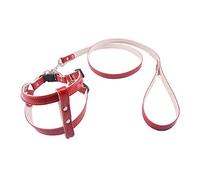 LYVQZPWLRLe Chien n'a Pas de Force, Ensembles de laisses et Harnais for Chiens, Colliers et Harnais for Chiots(Rosso)