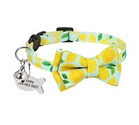 LYVQZPWLRLe Chien n'a Pas de Force, Laisse de Course réglable for Chat, Collier d'identification à dégagement Rapide avec Clochette, Accessoires for Animaux de Compagnie(4)