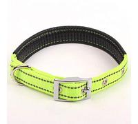 LYVQZPWLRLe chien n'a pas de force, Laisse de dressage for chien, collier réfléchissant en nylon for la nuit, colliers avec mousse rembourrée, boucle réglable en métal for le cou de l'animal(Green,Lar