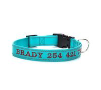 LYVQZPWLRLe chien n'a pas de force, Laisses for animaux de compagnie Collier de chien personnalisé Collier réfléchissant en nylon Nom brodé Numéro de téléphone Colliers personnalisés gravés(Green ligh