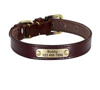 LYVQZPWLRLe chien n'a pas de force, Laisses for animaux de compagnie Collier en cuir personnalisé for chien Collier d'identification for animaux de compagnie en cuir avec boucle dorée(Dark Brown,Small