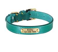 LYVQZPWLRLe Chien n'a Pas de Force, Laisses for Animaux de Compagnie Collier en Cuir personnalisé for Chien Collier d'identification for Animaux de Compagnie en Cuir avec Boucle dorée(Blu,2XL)