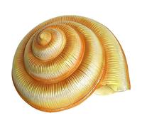 LYVQZPWLRMélange de Coquillages Marins, Coquillages, Grands Coquillages, Coquillages de conque, Coquillages géants décoratifs de 18 à 38 cm(Large)
