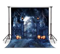 LYWYGG 10x10FT Toile de Fond pour Photographie d'halloween Décoration de fête d'halloween Accessoires de Photographie de fête pour Enfants CP-412-1010