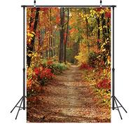LYWYGG 5x7FT Feuilles Caduques Paysage Naturel Automne Décors Arbre Et Feuilles d'automne Jaune Voir Décorations De Fête Activité De Plein Air Fond Studio Props CP-66