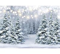 LYWYGG 7x5FT Fond de Flocons de Neige d'hiver lumières d'hiver avec Fond de pin Studio Photo Prop CP-546