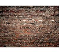 LYWYGG 8x6FT Brun Mur de Briques Photographie Arrière-Plans Famille Fête Toile de Fond Vinyle Bébé Prop Photographie Brun Photographie Toiles de Fond Galerie de Photos Mur de Briques Toile CP-312-0806