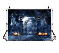 LYWYGG 8x6FT Toile de Fond pour Photographie d'halloween Décoration de fête d'halloween Accessoires de Photographie de fête pour Enfants CP-412-0806