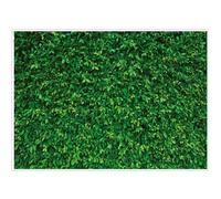 LYWYGG CP-87 Toile de Fond Pliable et Facile à Transporter Motif Feuilles Vertes 2,1 x 1,5 m