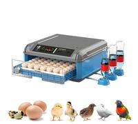 LZDOYY Incubateur d'œufs pour Poussins à couver avec retourneur Automatique, contrôle de la température et de l'humidité, avec Mire-œufs pour Poulets, Canards, oies et Oiseaux 64