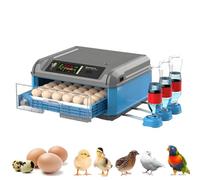 LZDOYY Incubateur d'œufs pour Poussins à couver avec retourneur Automatique, contrôle de la température et de l'humidité, avec Mire-œufs pour Poulets, Canards, oies et Oiseaux 36