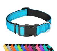 LZGOPE Reflective Dog Collar, Adjustable Soft Neoprene Padded Nylon Pet Collars with Buckle for Medium Dogs, Sky Blue,XL