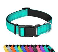 LZGOPE Reflective Dog Collar, Adjustable Soft Neoprene Padded Nylon Pet Collars with Buckle for Medium Dogs, Cyan,XL