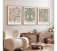 LZMASM Affiches imprimées sur toile à motifs floraux rétro, expositions de musée, décoration moderne de salon style Art nouveau (70 x 100 cm / 3 pièces sans cadre)