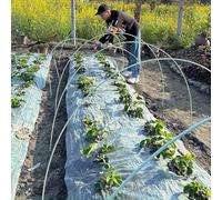 LZMZMQ Cerceau De Serre De Jardin Arceaux De Jardin Pliables De 120/150/180/220/240/280/300 Cm pour Tunnel Bas, Mini-serres Solides, Support D'arche Tunnel(10pcs,6mm(6/25")-200cm(6.5ft))