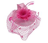 LZPCarra Casquette à visière Thé ensoleillé Maille Cheveux Plumes Bandeau Accessoires Casquette réversible, Rose, taille unique