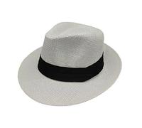 LZPCarra Panama Chapeau de Paille Unisexe à Large Bord Jazz Cylindrique de Soleil en Soie
