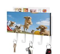 LZQPOEAS Dog Park Porte-clés mural en cuir synthétique avec 5 crochets pour clés d'entrée, support compact adhésif avec plateau de rangement pour courrier pour la maison et le couloir