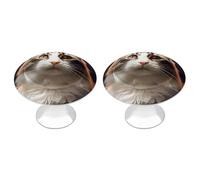 LZQPOEAS Lot de 2 boutons de tiroir en forme de chat - 2,8 cm en acier inoxydable - Poignées d'armoire de cuisine rondes élégantes pour cuisine, placard, meubles