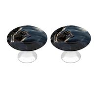 LZQPOEAS Lot de 2 boutons de tiroir ronds en acier inoxydable avec motif loups au clair de lune de 2,8 cm pour cuisine, placard, meuble