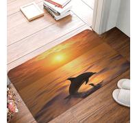 LZQPOEAS Paillasson d'extérieur antidérapant et durable en flanelle pour entrée, intérieur et extérieur pour zones à fort trafic, 61 x 40,6 cm