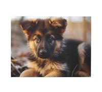 LZQPOEAS Poster de chiot berger allemand - Décoration murale moderne - Œuvre d'art - Impression photo encadrée prête à accrocher pour salon, chambre à coucher, bureau - 76,2 x 101,6 cm