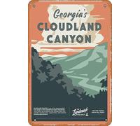 LZWDO Plaque en métal humoristique vintage représentant le parc d'État de Cloudland Canyon en Géorgie, États-Unis. Décoration murale rustique pour bar, club, maison ou cuisine. 15 x 30 cm.
