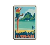LZWDO Plaques en métal humoristiques sur le thème d'Hawaï, paradis tropical, style rétro, pour bar, pub, restaurant, café, maison, salle de bain et chambre (30 x 30 cm).