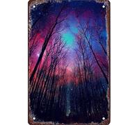 LZWDO Plaques en métal rétro ciel étoilé forêt voyage, style vintage et humoristique, décoration murale rustique pour la maison, la cuisine, le bar, le club ou une cave, 20 x 30 cm