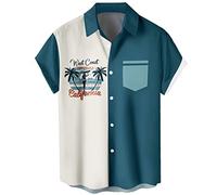 Lzzidou Chemise hawaïenne boutonnée à manches courtes pour homme, Lac bleu et blanc, Taille 3XL