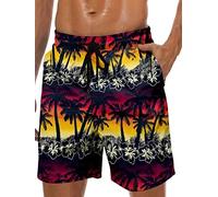 Lzzidou Short de bain pour homme à séchage rapide avec poches, Noir-noix de coco, Large