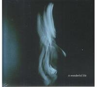 Τοm ΟԁеΙΙ - A ԝοոԁеꭇfսI Iіfе ❨СD❩