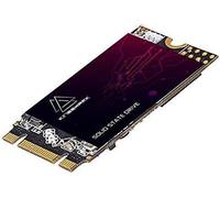 M.2 2242 SSD 250GB Internal NGFF SSD 22 x 2242 mm SATA III 6Gb/s Inside the High Performance Actuator of Hard Disk Drive (250GB,M.2 2242)