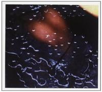 M.B. - Maurizio Bian - Armaghedon