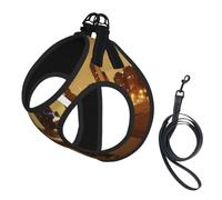 M Harnais pour chien Chicago Imprimé Gilet de promenade | Boucle de sécurité confortable pour chat avec boucle de sécurité pour chien