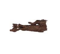 M Honey Comb Racine N° 2306 Racine d'aquarium Mangrove Décoration d'aquarium Paysage Mousse Naturel Bois véritable