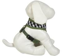 M. Isaac Mizrahi Gingham Collection Harnais pour Chien Vert Taille L