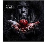 M.Laakso-The Gothic Ta [Analog]