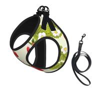 M Laisse Gilet Harnais pour Chien - Petite Taille Adorable Fraise (1) Ensemble Laisse Réfléchissante pour Extérieur et Chien
