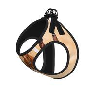 M Laisse gilet harnais pour chien - Petite taille cheval qui court dans le désert sable tempête imprimé ensemble laisse pour animal domestique ensemble réfléchissant pour l'extérieur et la promenade