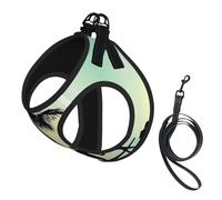 M Laisse gilet harnais pour chien - Petite taille couple marié marchant sur la plage Ensemble laisse réfléchissante pour l'extérieur et promenade du chien
